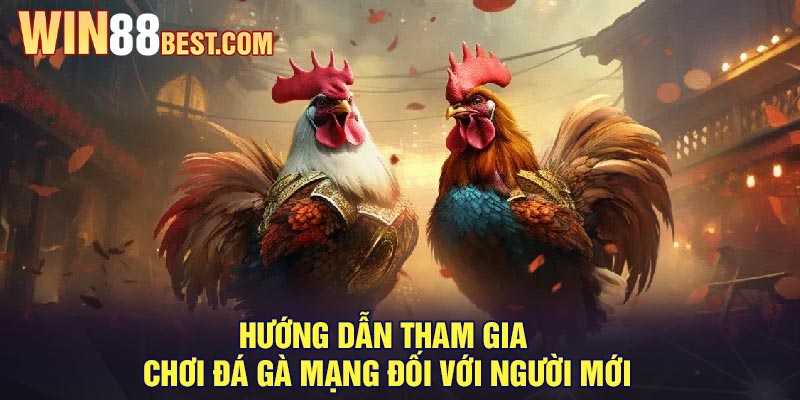 Hướng dẫn tham gia chơi đá gà mạng đối với người mới