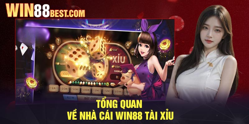 Tổng quan về nhà cái Win88 tài xỉu