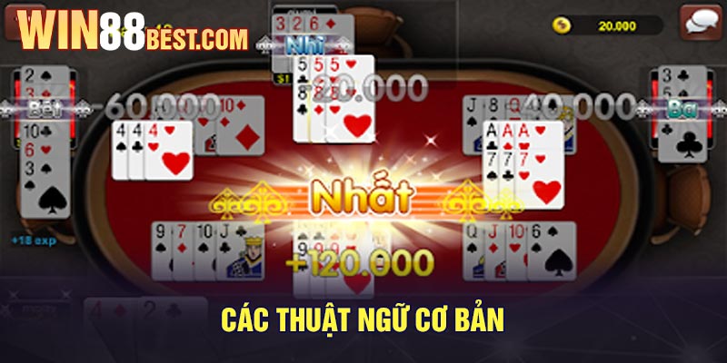 Các thuật ngữ cơ bản