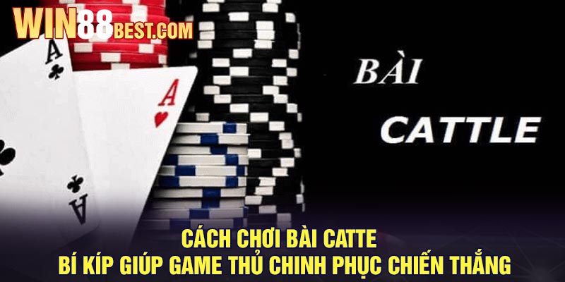 Cách chơi bài Catte - Bí kíp giúp game thủ chinh phục chiến thắng