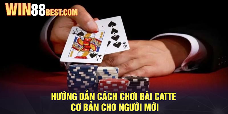 Hướng dẫn cách chơi bài Catte cơ bản cho người mới