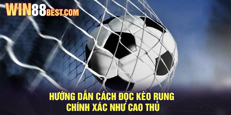 Hướng dẫn cách đọc kèo rung chính xác như cao thủ