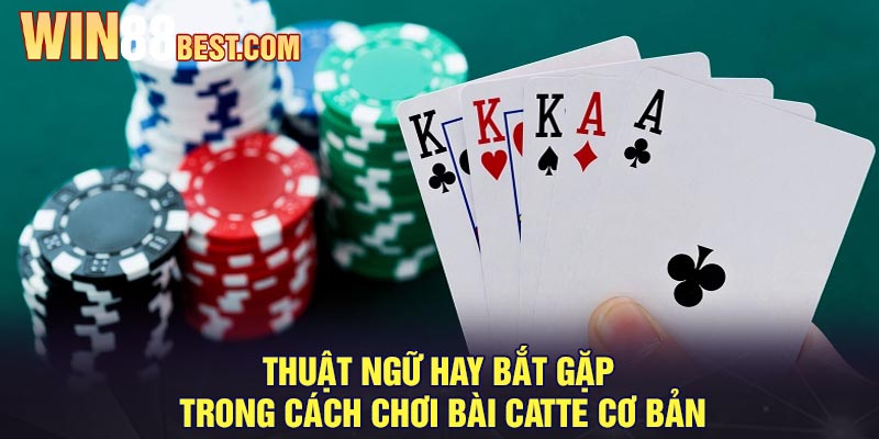 Thuật ngữ hay bắt gặp trong cách chơi bài Catte cơ bản